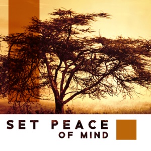 Set Peace of Mind: Meditation & Emotional Stability