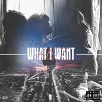 What I Want - Single - Ad27