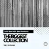 Stream & download The Biggest Collection, Vol. 1 (feat. DJ EEF)