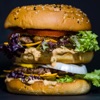 Big Willy Status - Hamburger Song