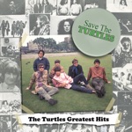 The Turtles - Happy Together