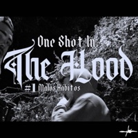 1. One Shot In The Hood - Malos Hábitos - Single - THE HOOD