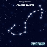 Project Scorpio - Flowtecs