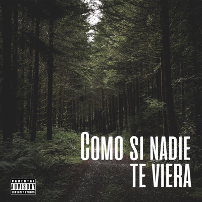 Como si nadie te viera - Single