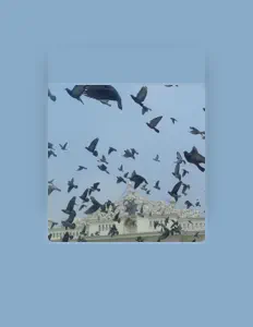 Escucha a 5 Day, mira vídeos musicales, lee la biografía, consulta fechas de giras y mucho más.