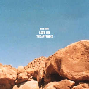 Lost Ish (The Appendix) - EP