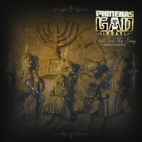 Never Trust Thy Enemy - Single - Phinehas Gad Israel