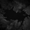Shadow Truths - Ecepta & Azaleh lyrics
