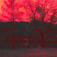 Night Cafe - Single - Tangerine Overload