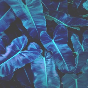 Slippin' - Single