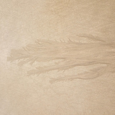 Inguz (feat. Ameli) - Single