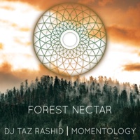 Forest Nectar - Single - DJ Taz Rashid & Momentology