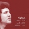 Meykhooneh (feat. Hassan Khayyatbashi) - Delkook lyrics