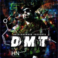 Dmt - Bajolasombra