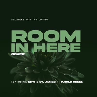 Room in Here (feat. Erthe St. James & Harold Green) - Single