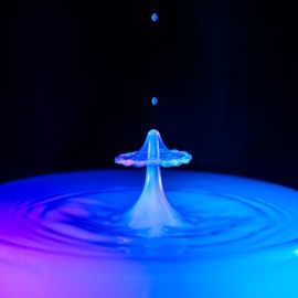 Drip! (feat. Hunterdrinkswater) shxrda