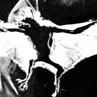 Carne (feat. Lessa Gustavo, João Alquímico, Victor Xamã & Matheus Coringa) - Single - l v k s