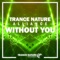 Without You (Extended Mix) artwork