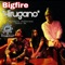 Hirugano (Marshall Jefferson Radio Edit) - BIGFIRE lyrics