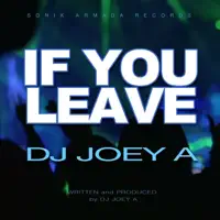 IF YOU LEAVE