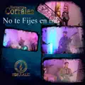 Firme en el camino