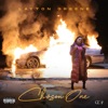 Chosen One cover art