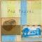 Drain - Jay Farrar lyrics