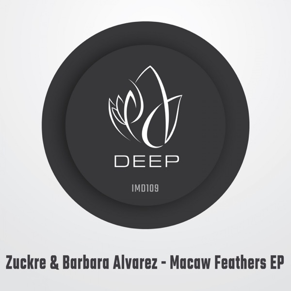 Macaw Feathers - Single