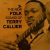 The New Folk Sound of Terry Callier (Deluxe Edition) artwork