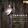 Doulce Mémoire Doulce memoire Fantasia bellissima