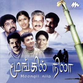 Naan Sevvanodu Timmy