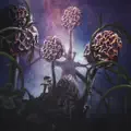 Mahagma