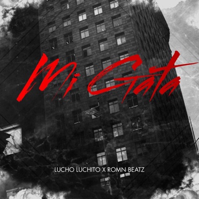Mi gata (feat. Lucho) - Single