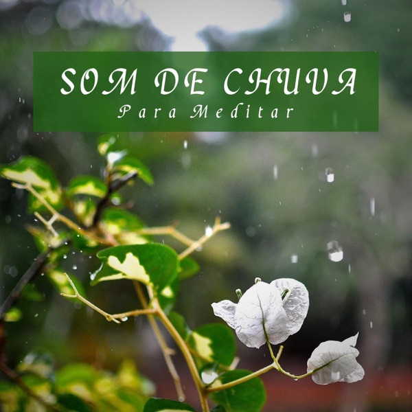 Som de Chuva para Meditar