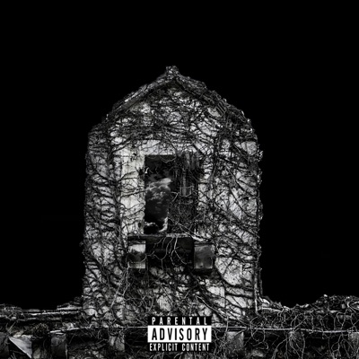 Trench Babies - Single