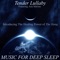 Meditation on Tranquility (feat. Ann Malone) - Music for Deep Sleep lyrics