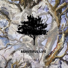 Beautiful Life (feat. Nate Mendel & Jeremy Enigk) - Single