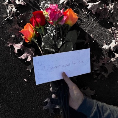 I Never Asked for This - EP