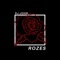 Rozes - DJ John lyrics