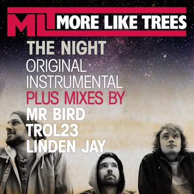 The Night Remixes - EP