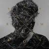 Bertrand Cantat - J’attendrai