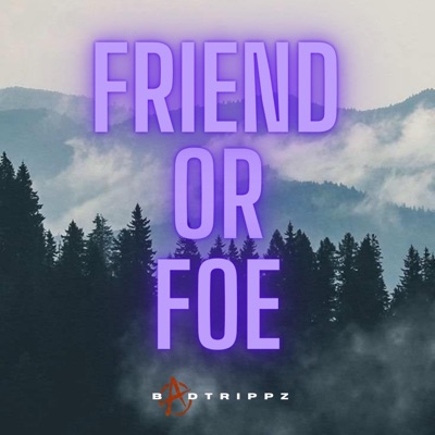 Friend or Foe - Single