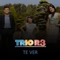 TE VER