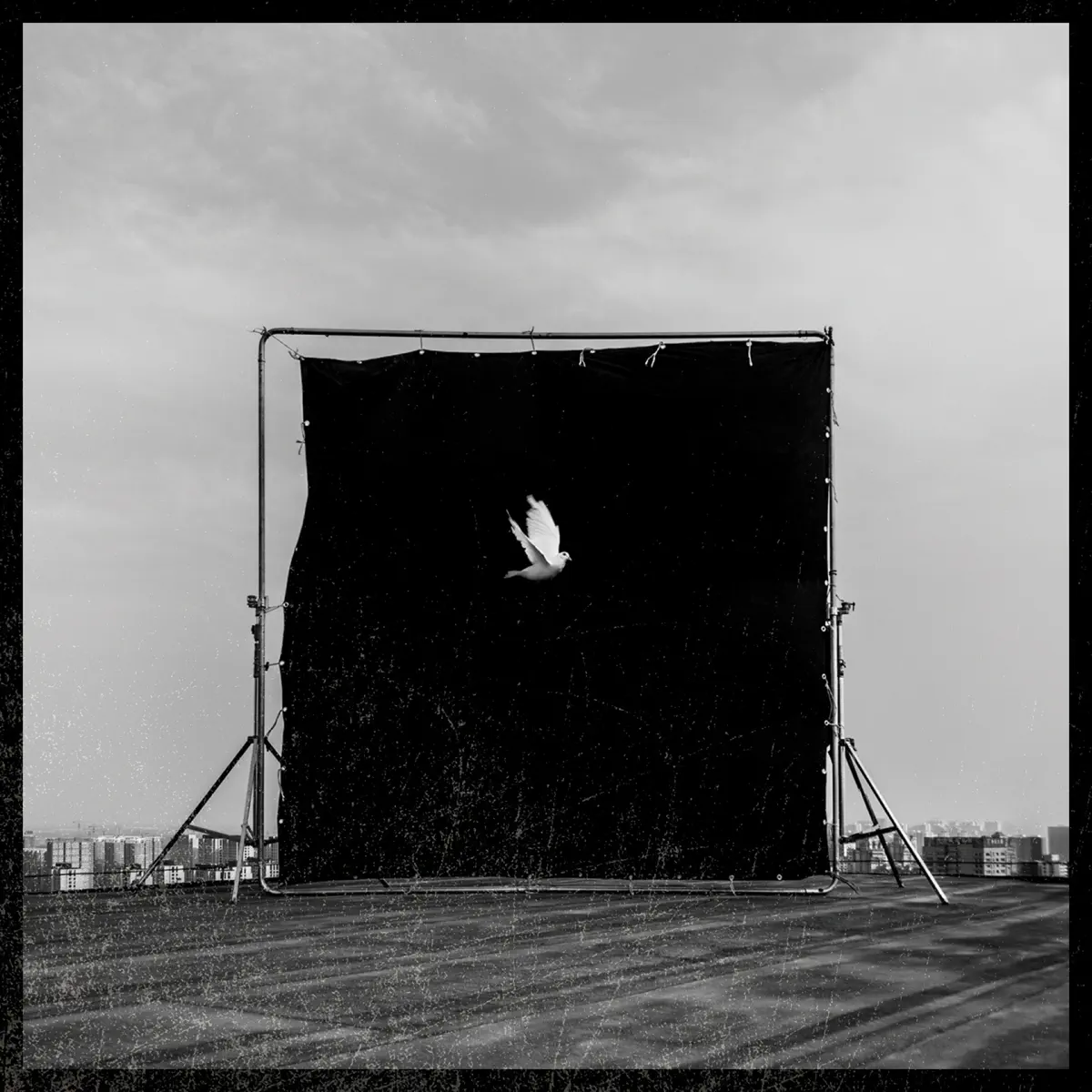 海龟先生 - Where Are You Going (2014) [iTunes Plus AAC M4A]-新房子