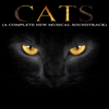 Memory - The 'Cats' New Musical Orchestra