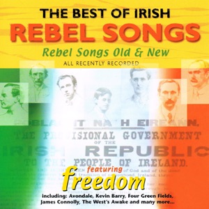 The Best of Irish Rebel Songs