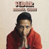 Badrul Ghani - Sedar