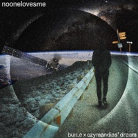 Noonelovesme (feat. Ozymandias' Dream) - Single - Bun.E