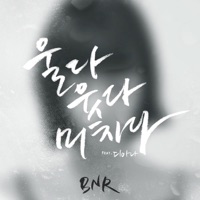 울다 웃다 미치다 (feat. 디아나) - Single - Bnr