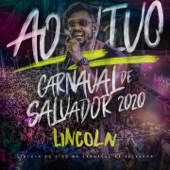 Carnavrau (Ao Vivo) artwork